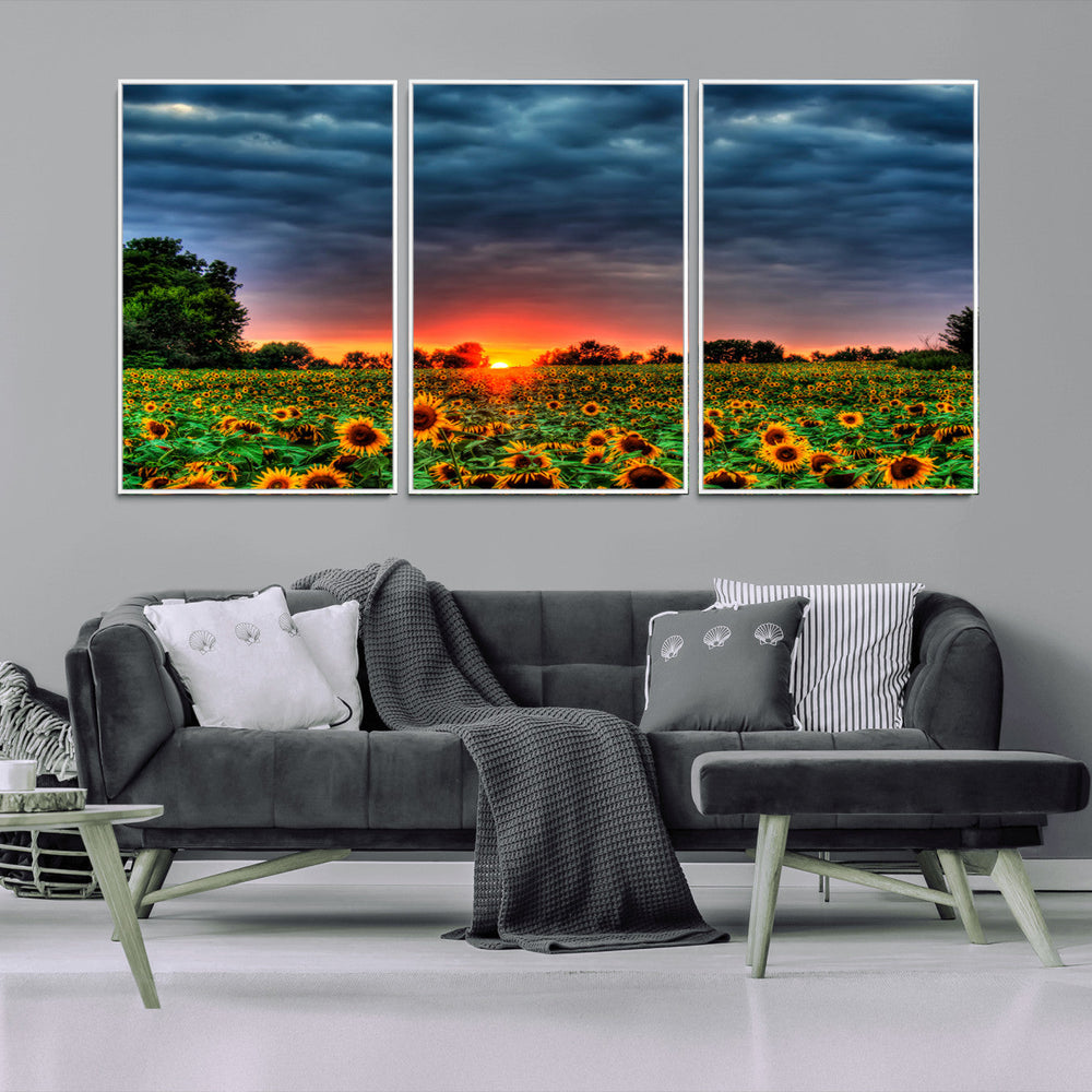 Golden Sunflower Field at Sunset – Breathtaking Sky and