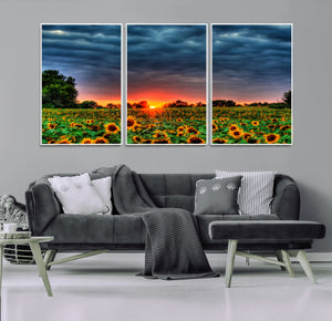 Golden Sunflower Field at Sunset – Breathtaking Sky and