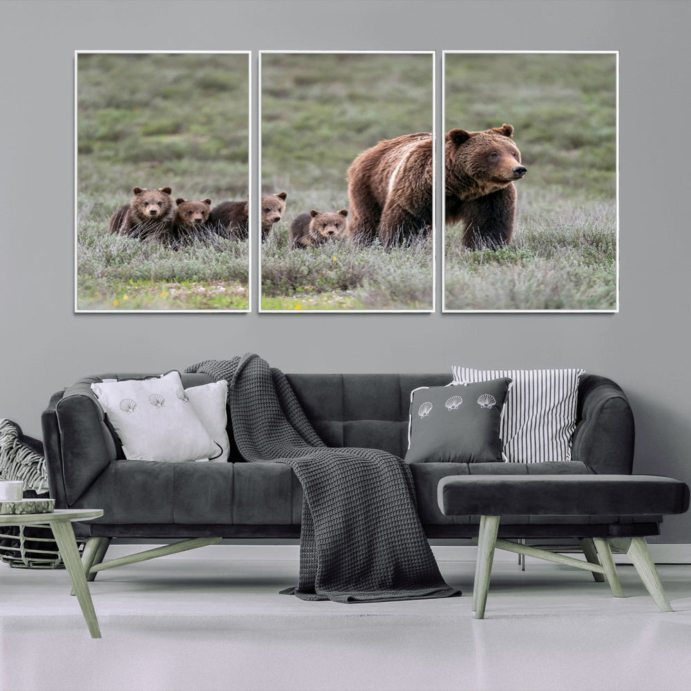 Wildlife Photography of 399 Grizzly Bear Cubs | Queen of the