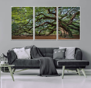 Historic Tree Wall Art – Framed Mossy Branch Canvas Artwork,