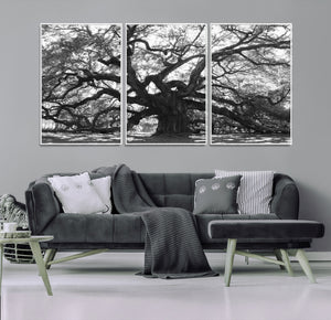 Ancient Oak Wall Art Canvas Print, Majestic Twisted Branches