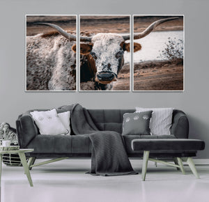 Texas Longhorn Wall Art Canvas Print – Framed Spotted Bull