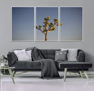 Joshua Tree Wall Art Canvas Print – Framed Southwestern