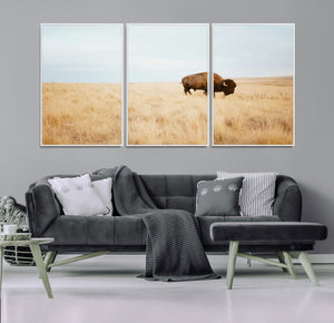 Buffalo Wall Art Canvas Print – Framed Western Wildlife