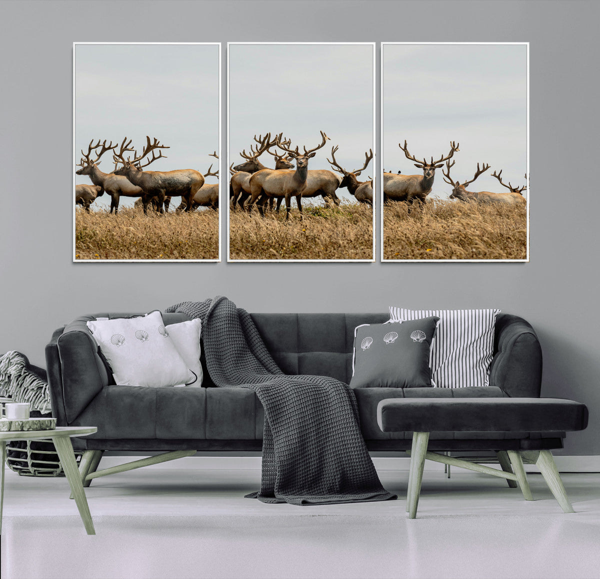 Elk Herd Wall Art Canvas Print – Framed Wildlife Photography