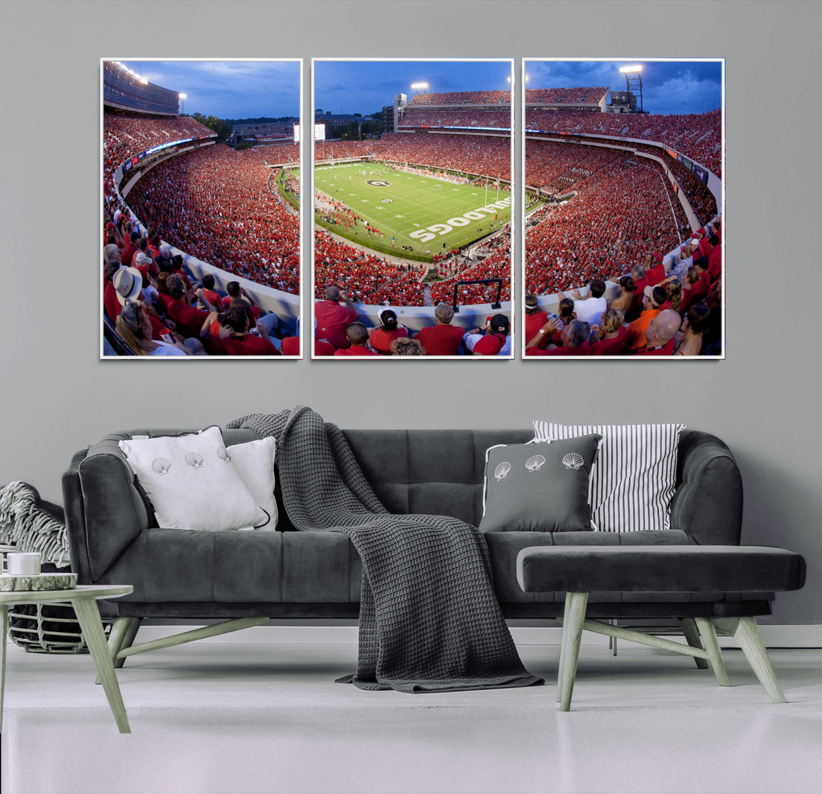Dooley Stadium Wall Art, Sports Arena Canvas Print, Dooley
