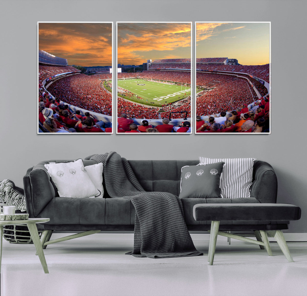 Dooley Stadium Wall Art, Sports Arena Canvas Print, Dooley