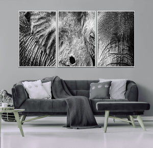Wild Old Elephant Wall Art Canvas Print