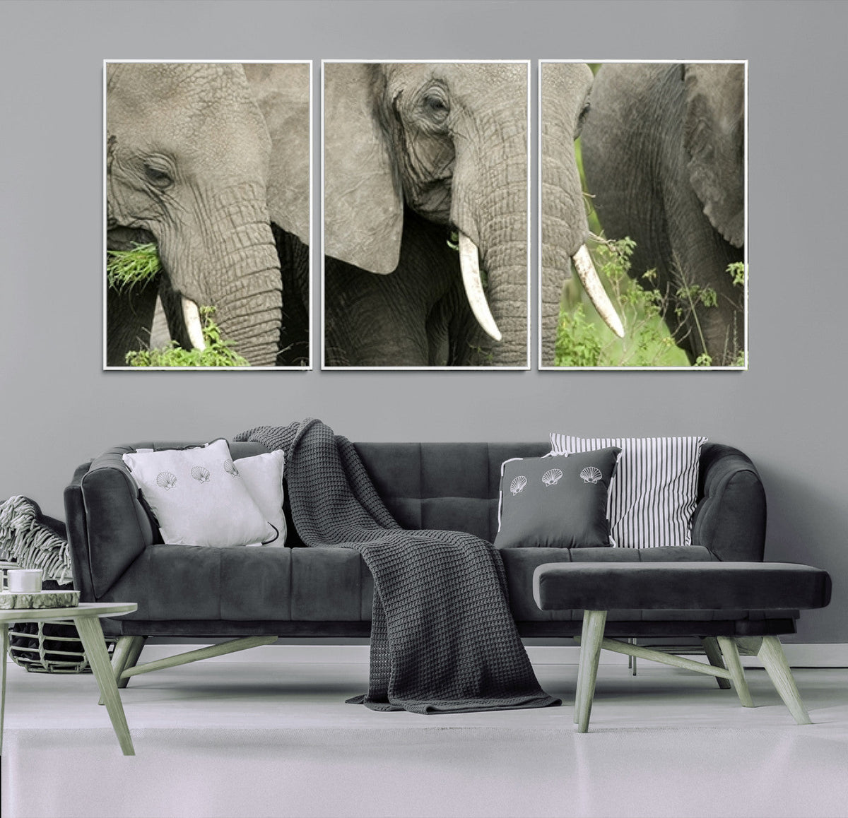 Wild Elephant Wall Art Canvas Print