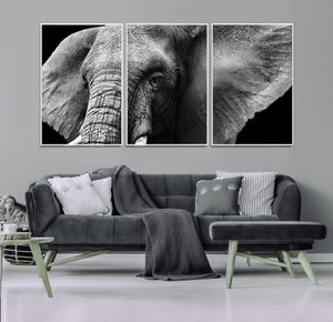 Big Elephant Close Up Wall Art Canvas Print