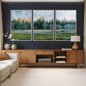 Forest Meadow Wall Art Canvas Print, Pine Tree Landscape