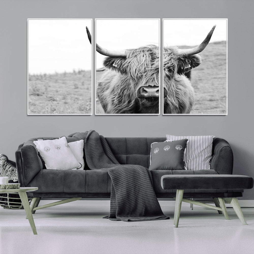 Newfoundland Cow Art Wall Art, Black White Cow Art Wall Art