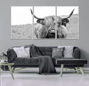 Newfoundland Cow Art Wall Art, Black White Cow Art Wall Art