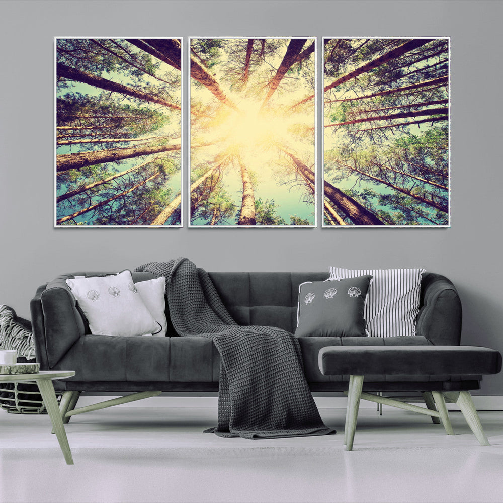 Tree and Sunshine Canvas Print