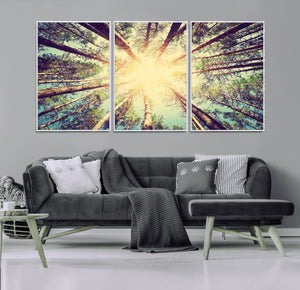 Tree and Sunshine Canvas Print
