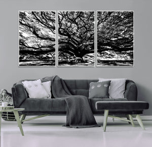 Mighty Angel Oak Wall Art | Angel Oak Tree Art Print