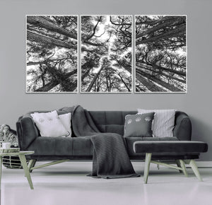 Trees Contemporary Art Canvas Print