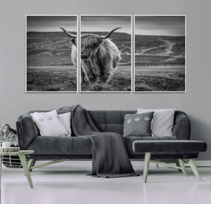 Fluffy Cattle Wall Art Print, Highland Cow Canvas, Framed