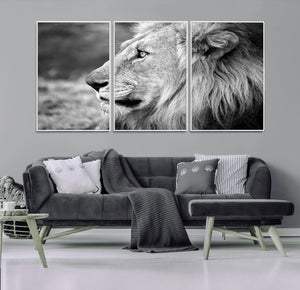 Lion Wall Art Canvas Print – Framed Majestic Wildlife