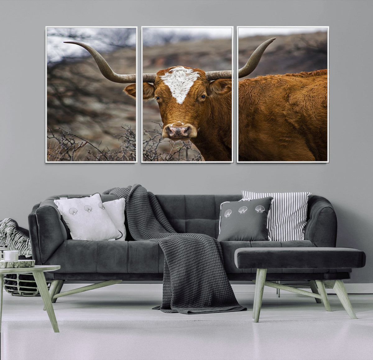 Texas Longhorn Canvas Wall Art - Longhorn Steer Canvas Wall