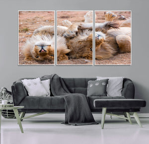 Lion Pair Wall Art Canvas Print – Framed Wildlife Scene with