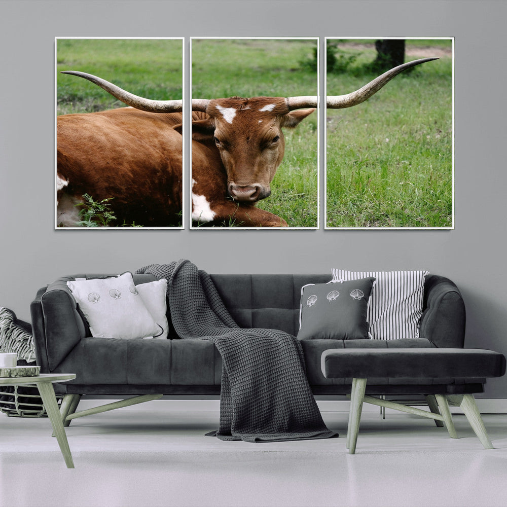 Longhorn Steer Canvas Wall Art – Rustic Nature Triptych