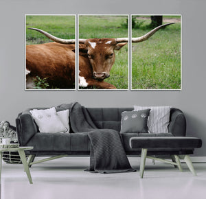 Longhorn Cow Animal Wall Art Canvas Print