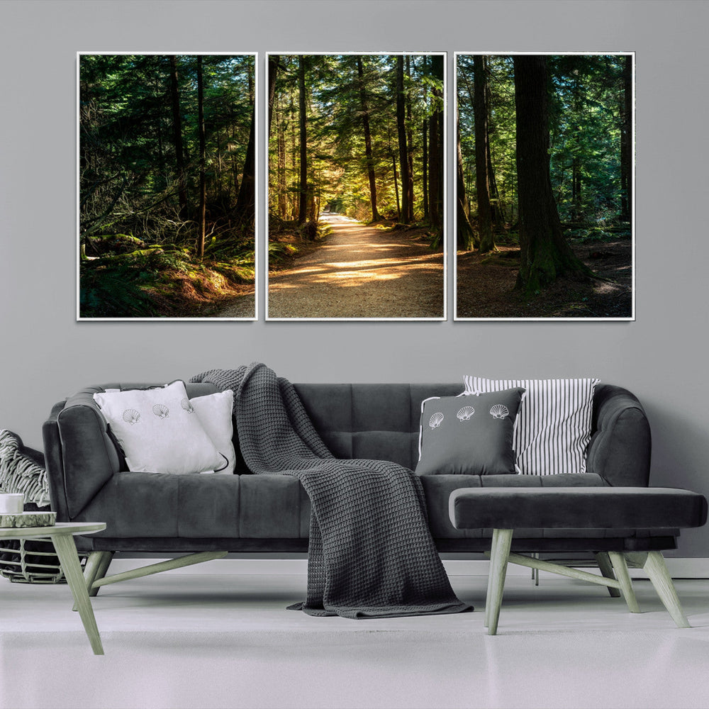Sunlit Forest Pathway Canvas Print | 3 Panel Large Nature