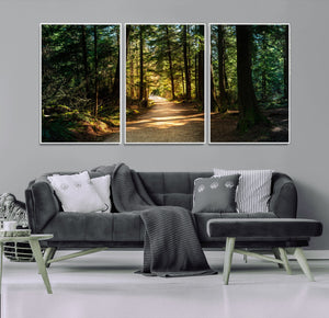 Sunlit Forest Pathway Canvas Print | 3 Panel Large Nature