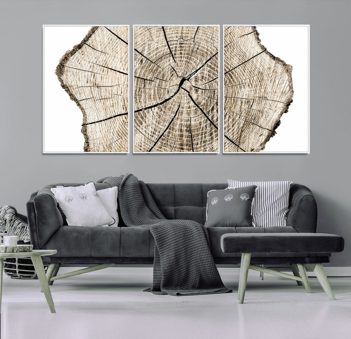 Abstract Wood Tree Ring Wall Art - Ready to Hang Minimalist