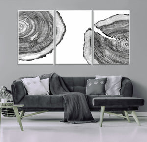 Abstract Large Tree Rings – Minimalist Black and White Wood
