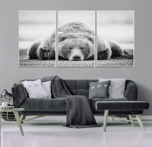 Resting Grizzly Bear Wall Art Canvas Print – Majestic Lazy