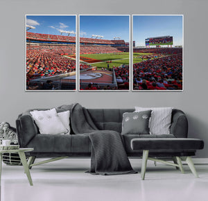 Florida Tampa Raymond James Stadium Wall Art Canvas Print -