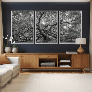 Majestic Angel Oak Tree Black and White Canvas Print – Multi