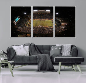 Wake Forest University Demon Deacons Canvas Printi, Football