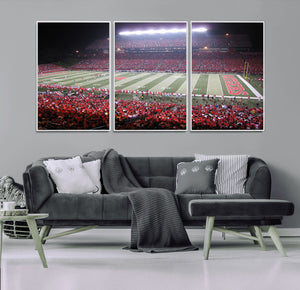Rutgers University Scarlet Knights Football Team Print -