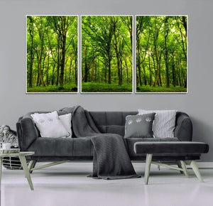 Lush Green Forest Canvas Print | 3-Panel Forest Wall Art |