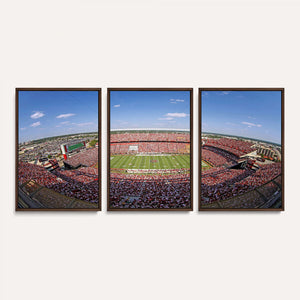 William Brice Stadium Wall Art Canvas Print – Stadium Crowd