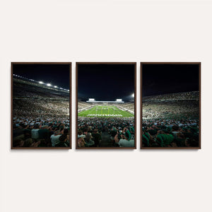 Framed Michigan State Spartans Football Team Print - East
