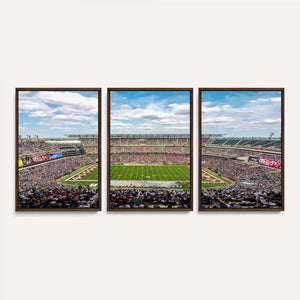 The Temple University Owls Athletics Team Print -