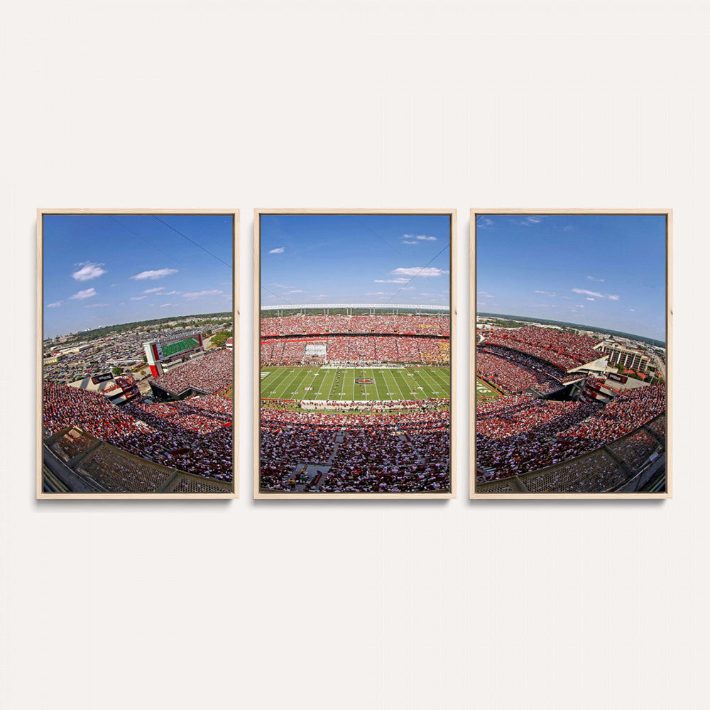 William Brice Stadium Wall Art Canvas Print – Stadium Crowd