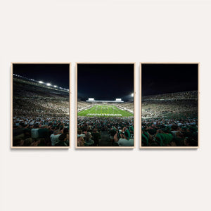 Framed Michigan State Spartans Football Team Print - East