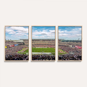 The Temple University Owls Athletics Team Print -