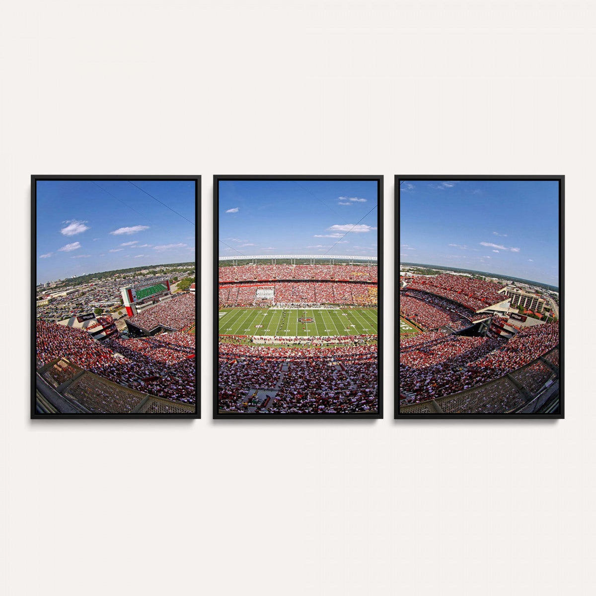 William Brice Stadium Wall Art Canvas Print – Stadium Crowd