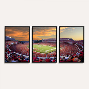 Dooley Stadium Wall Art, Sports Arena Canvas Print, Dooley