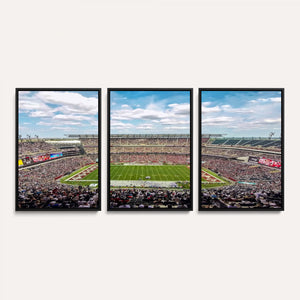 The Temple University Owls Athletics Team Print -
