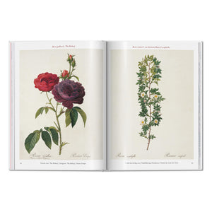 Redouté. Roses (German, French, English)