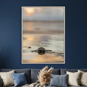 Sea Turtle Hatchling Wall Art Canvas Print – Soft Coastal