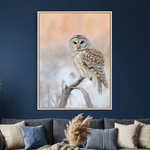 Barred Owl Wall Art Canvas Print – Soft Neutral Wildlife