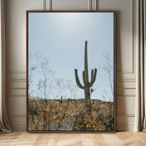 Saguaro Cactus Wall Art Canvas Print – Framed Southwestern
